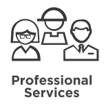 Professional Services